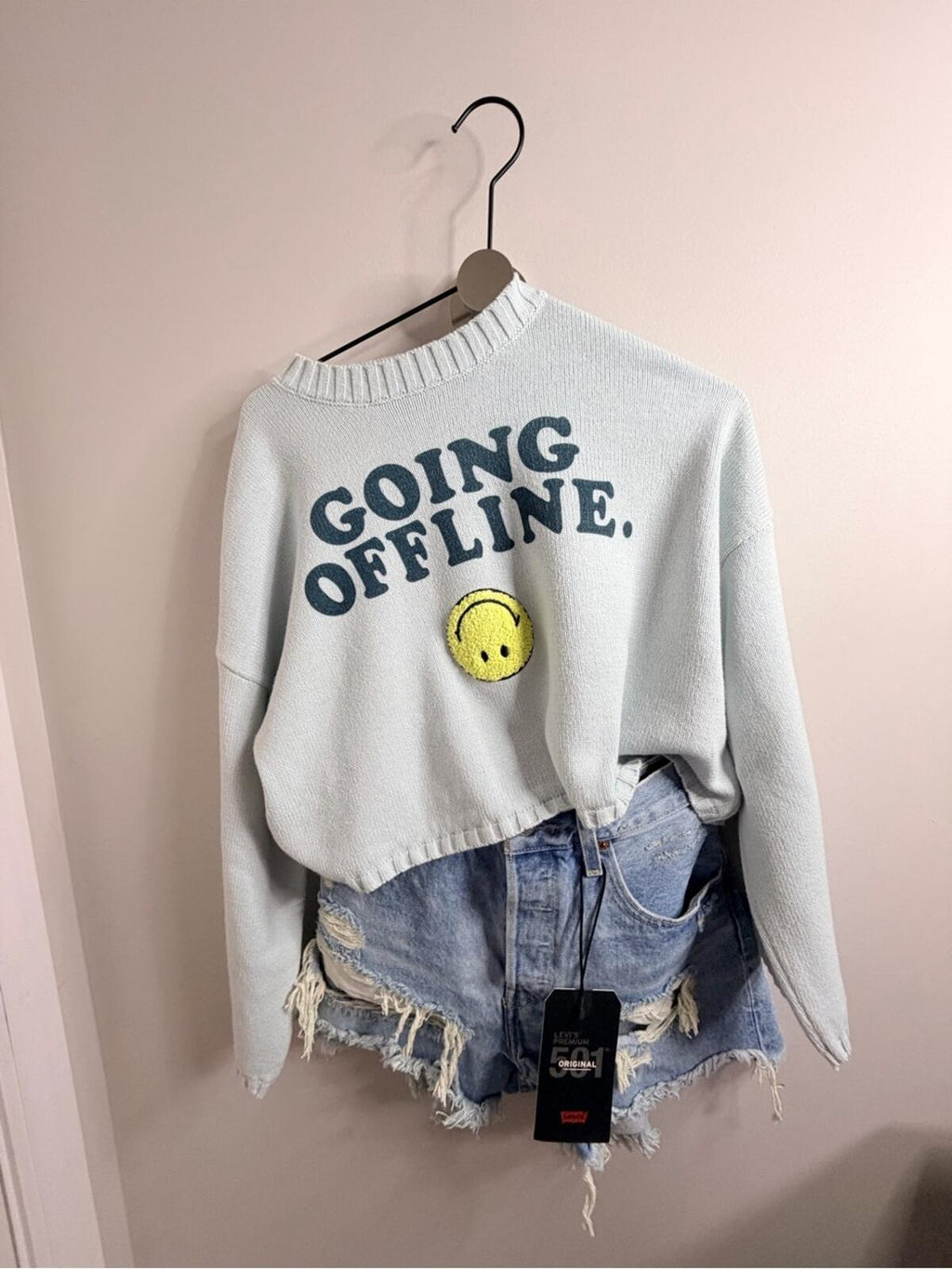 Going Offline Gray Cropped Sweatshirt with Smiley